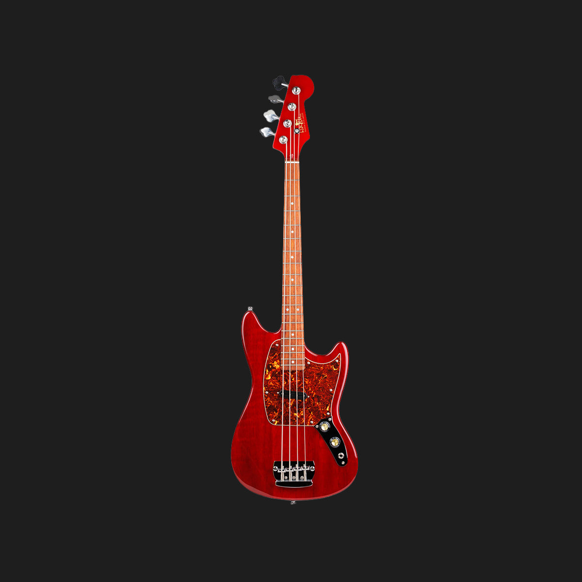 Warren Ellis Bass Guitar