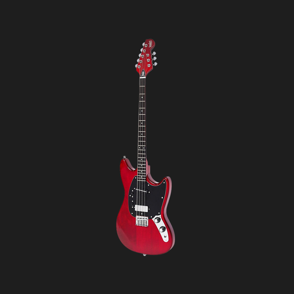 Warren Ellis Electric Mandocello