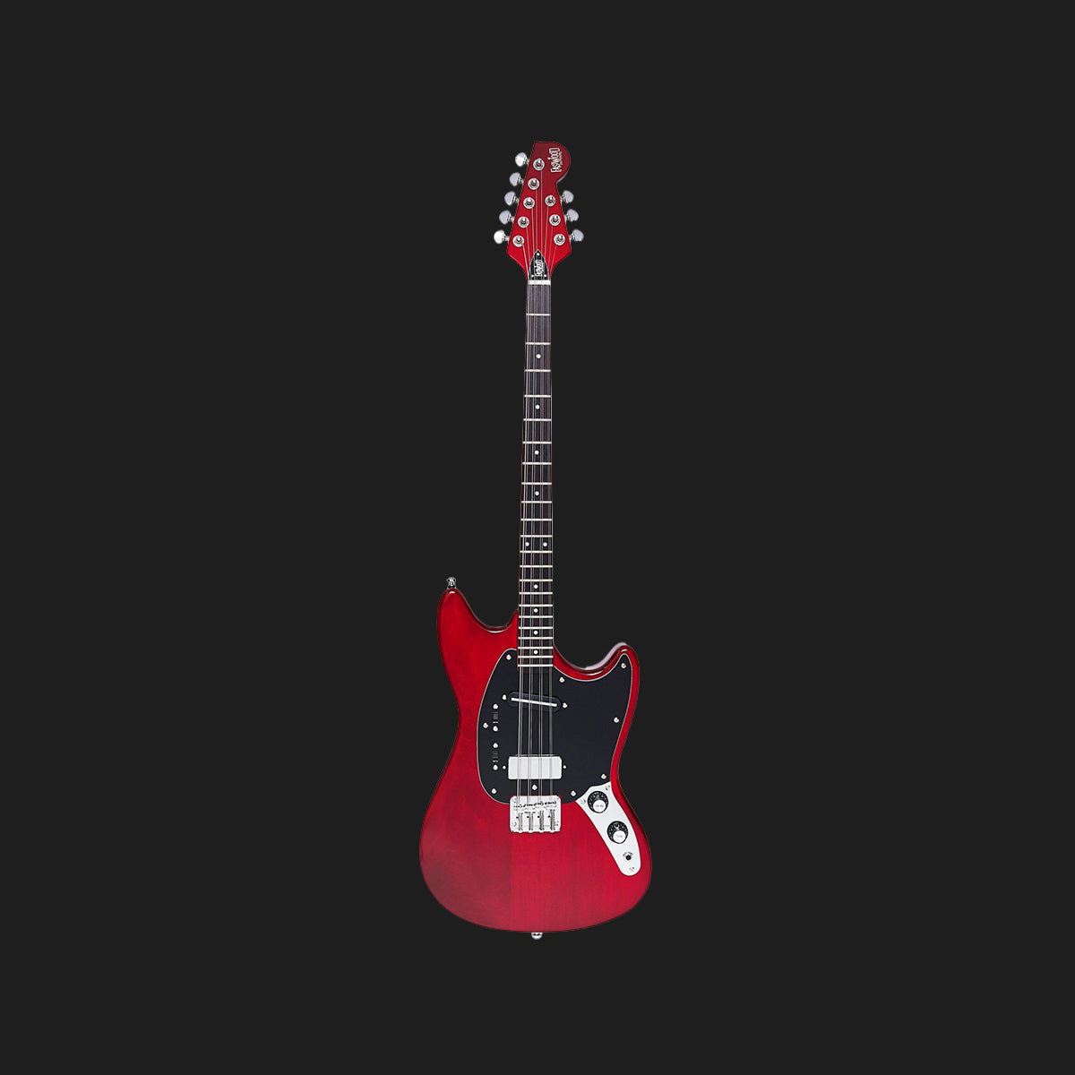 Warren Ellis Electric Mandocello
