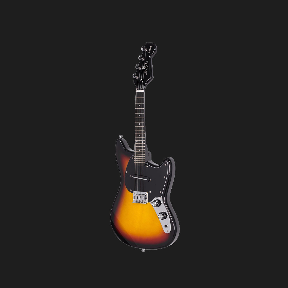 Warren Ellis Mandostang Electric 4-String Mandolin