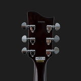Eastwood JH 1200 Electric Guitar