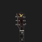 Eastwood Tiger Electric Guitar