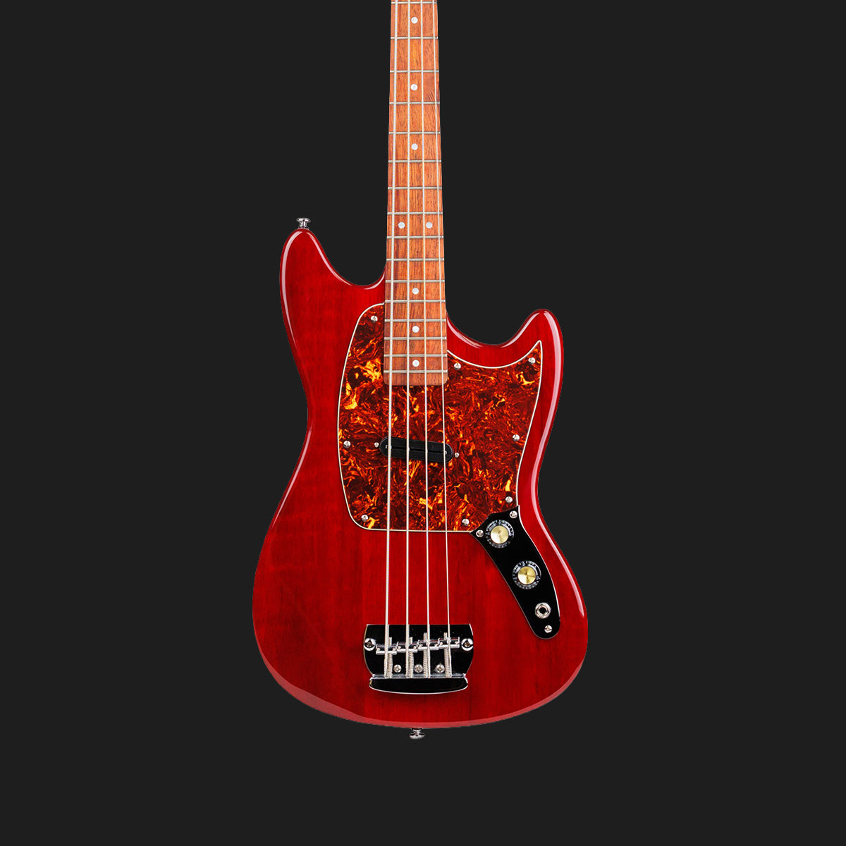 Warren Ellis Bass Guitar