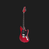 Warren Ellis Electric Mandocello