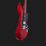 Warren Ellis Electric Mandocello