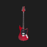 Warren Ellis Electric Mandocello