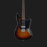 Warren Ellis Electric Mandocello