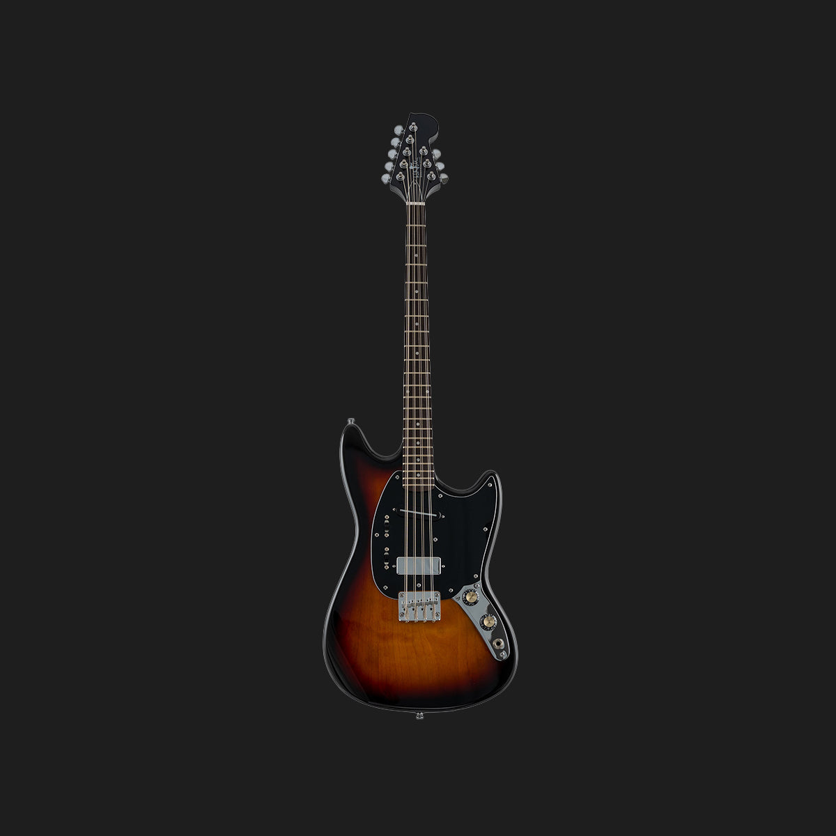 Warren Ellis Electric Mandocello