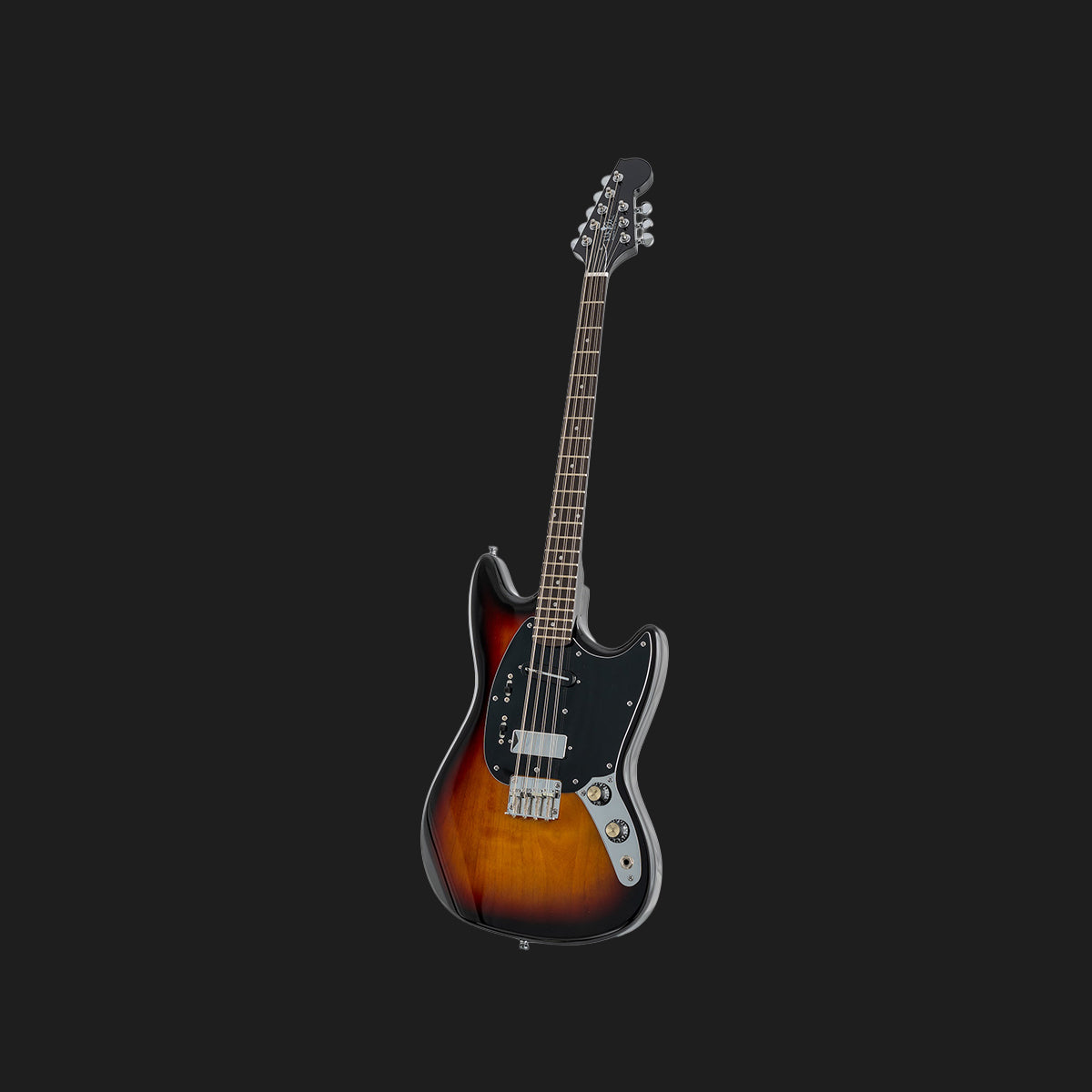 Warren Ellis Electric Mandocello