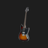 Warren Ellis Electric Mandocello