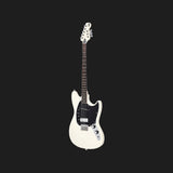 Warren Ellis Electric Mandocello