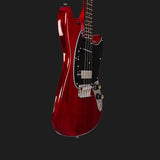 Warren Ellis Electric Tenor Guitar 2P