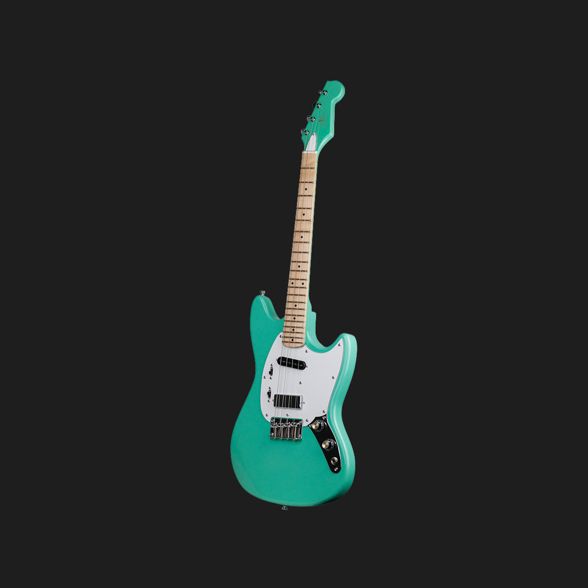 Warren Ellis Electric Tenor Guitar 2P