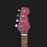 Warren Ellis "Tenor Baritone" 2P Electric Cello Guitar